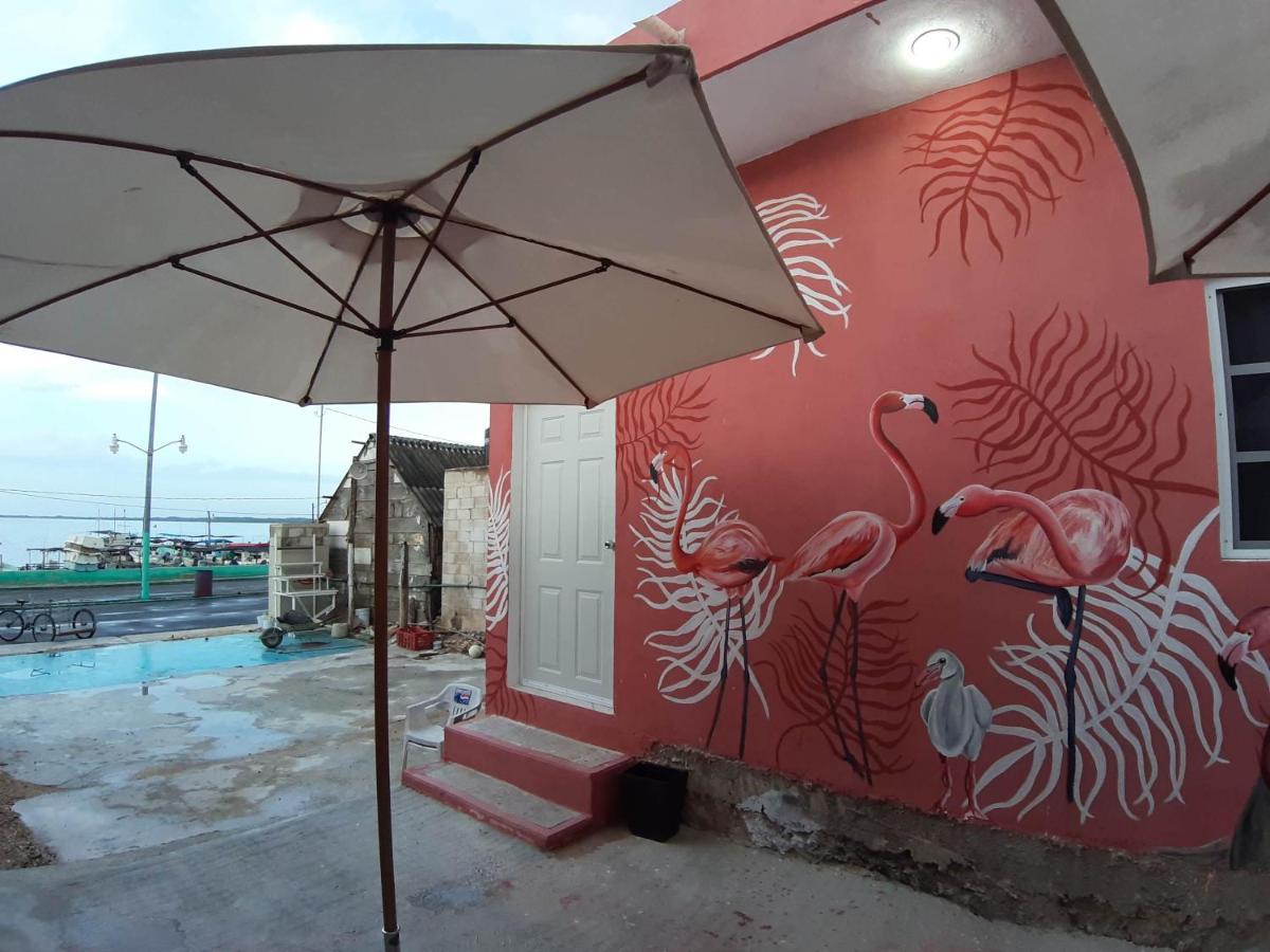 Habitaciones Chiquil Ha Rio Lagartos Exterior photo